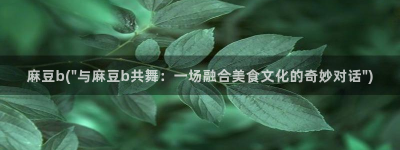 麻豆国产专区：麻豆b(\