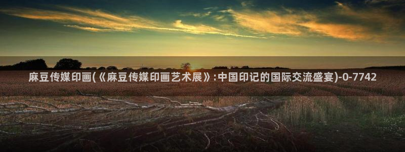 麻豆精品社区：麻豆传媒印画(《麻豆传媒印画艺术展》:中国印记