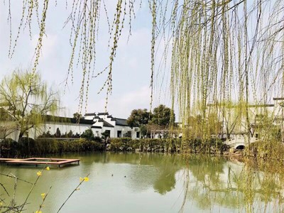 糖心VLGO短视频观察作品七