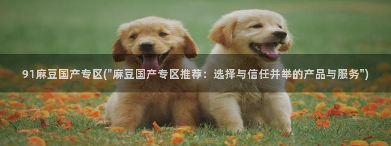 麻豆国产av专区：91麻豆国产专区(\