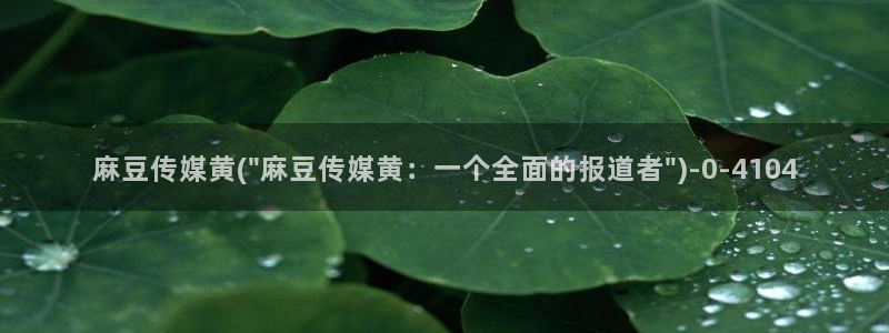 91麻豆专区：麻豆传媒黄(\