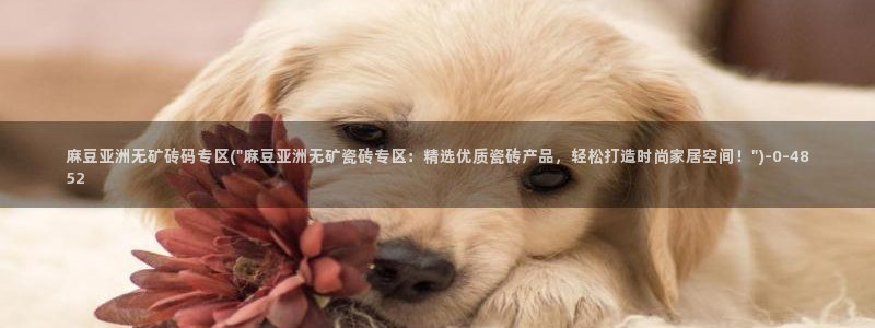 伊人久麻豆社区：麻豆亚洲无矿砖码专区(\