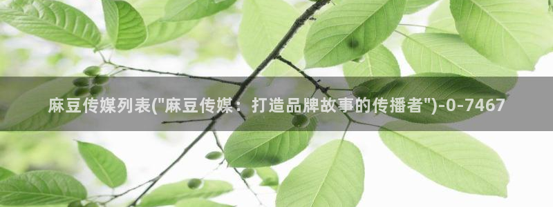 麻豆av专区：麻豆传媒列表(\