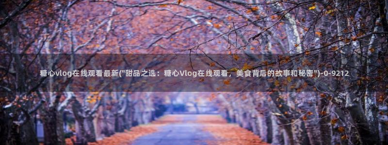 心糖vlog入口