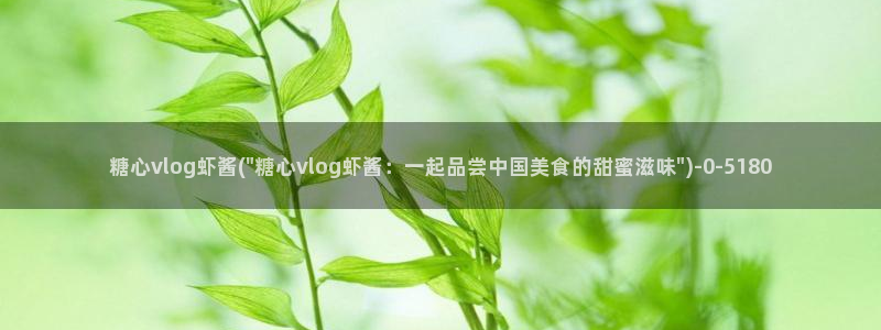 糖心vlog中国