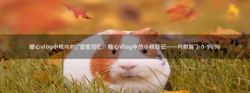 vlog糖心在线观看