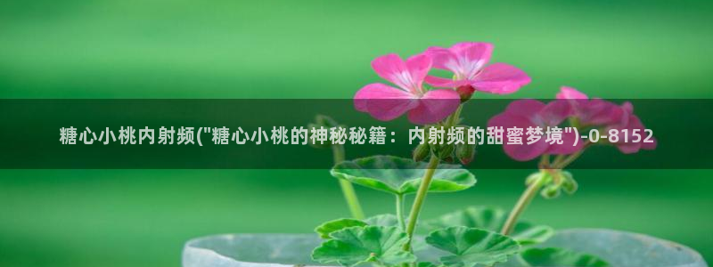 糖心vlog在线免费观看