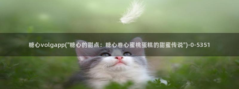 糖心vlog免费版