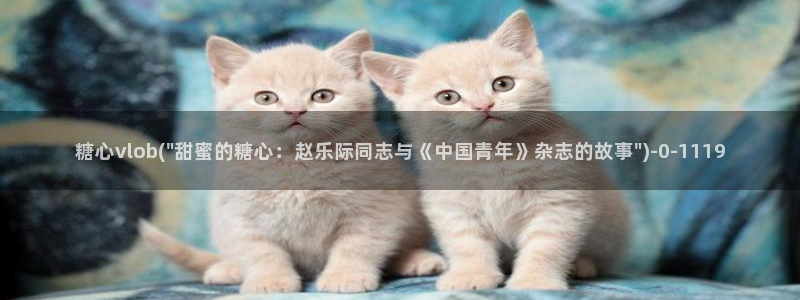 糖心vlog最新破解版