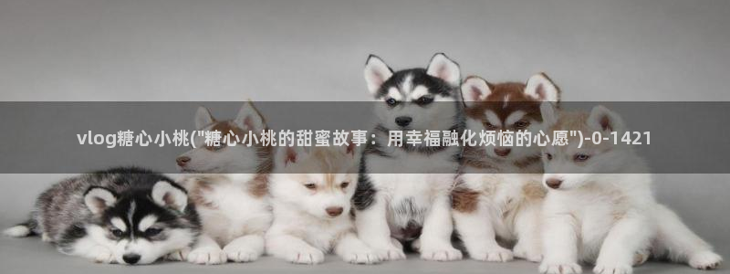 糖心vlog视频破解版