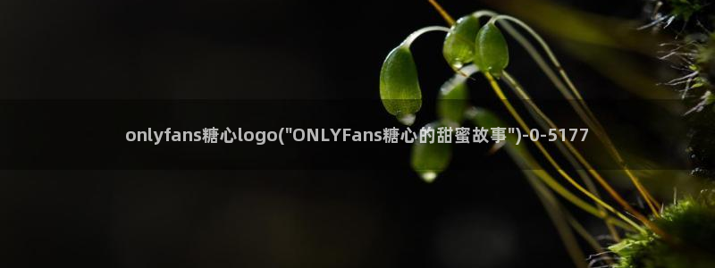 糖心短视频