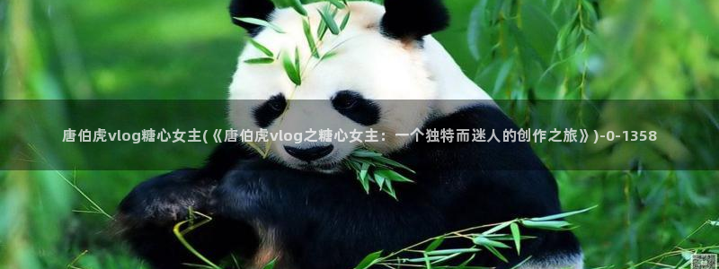 糖心vlog免费eye