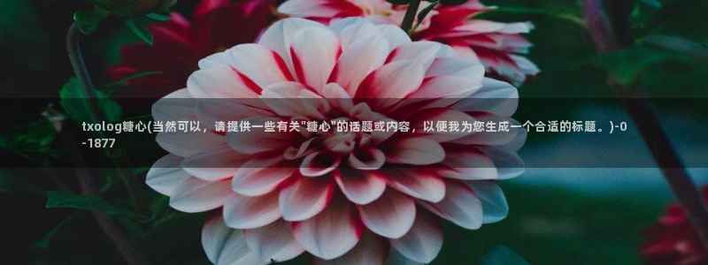 芋圆糖心vlog视频